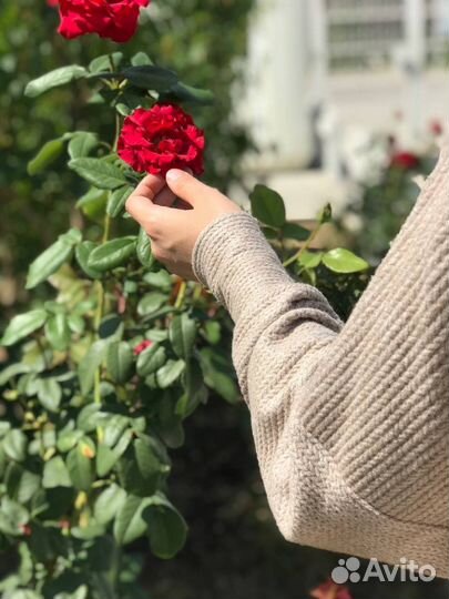 Кофта женская