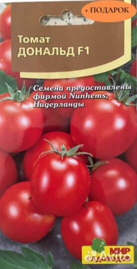 Рассада помидор