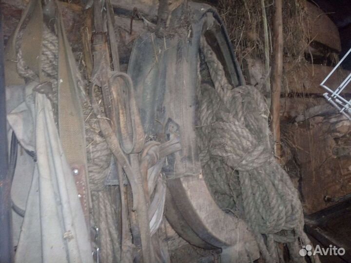 Плуги,сбруя