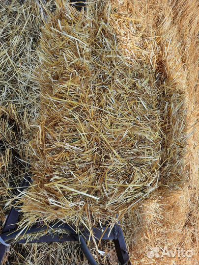 Продаю сено солому в брикетах