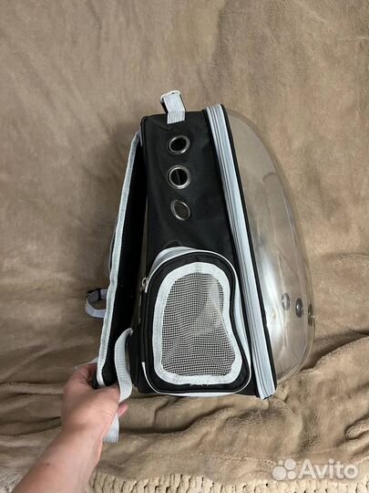 Прозрачный рюкзак-переноска для кошек