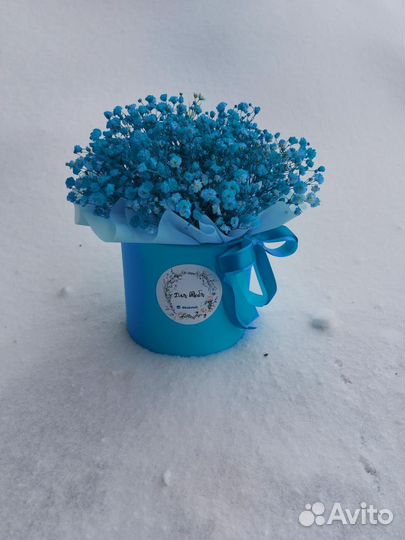 Букет из гипсофилы