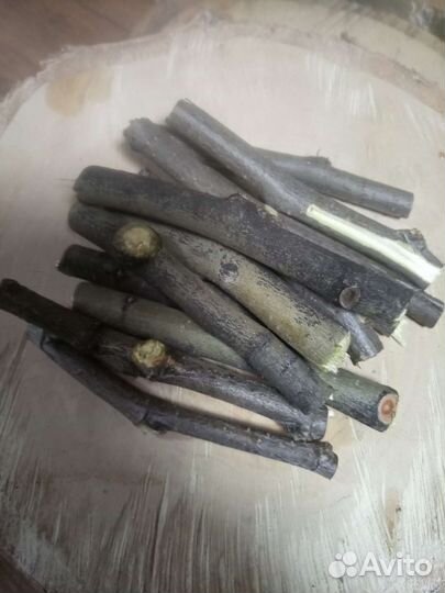 Палочки для грызунов