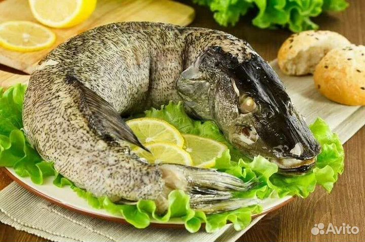 Фаршируем и сервируем щуку
