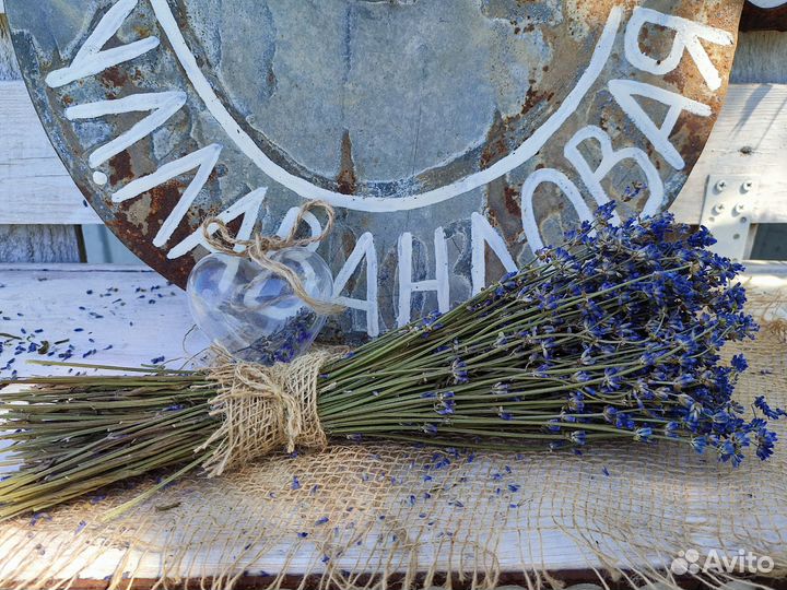 Лаванда сухоцвет