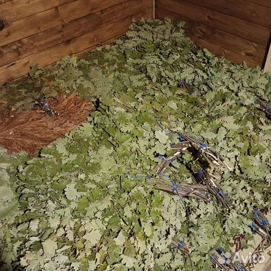 Дубовые веники для бани