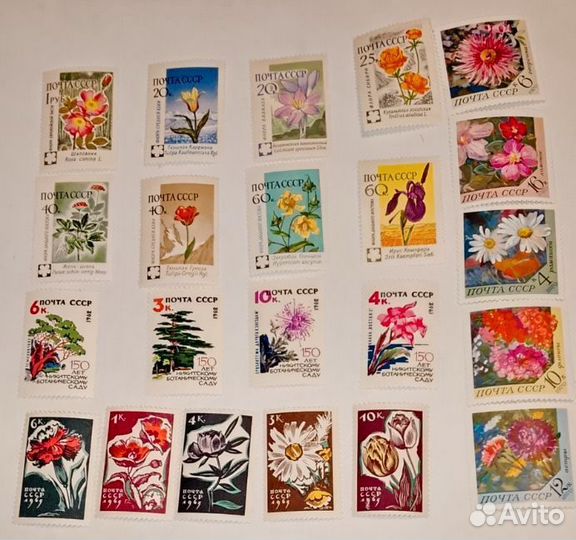 Серия марок Цветы СССР 960, 1962,1965,1970г