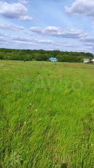 Участок 29 сот. (ИЖС)