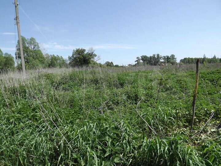 Участок 25 сот. (ИЖС)