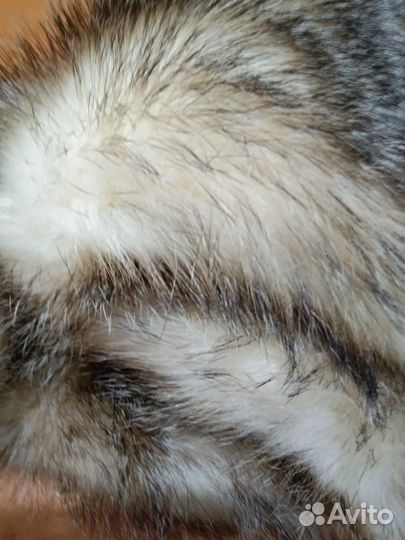 Шкурки барсука