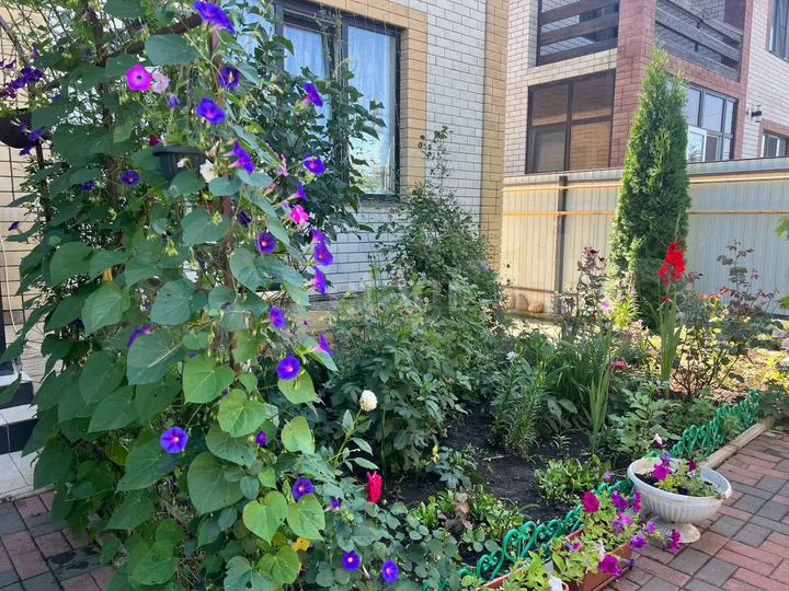 Дом 158 м² на участке 3,9 сот.