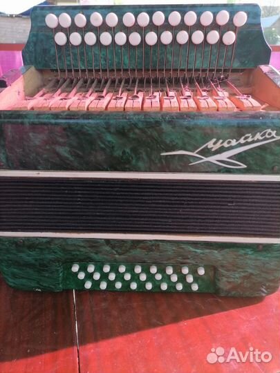 Гармонь чайка