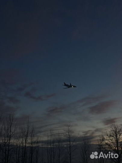 Туристические услуги