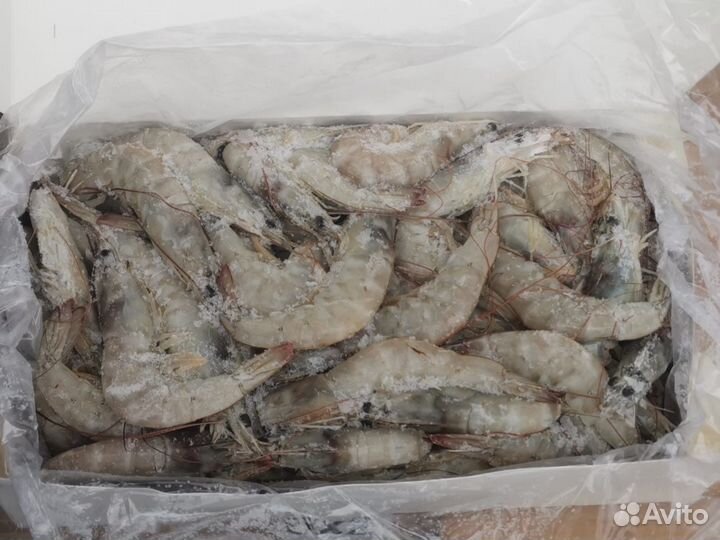 Креветки Иран