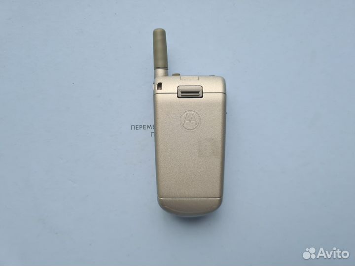 Motorola V50