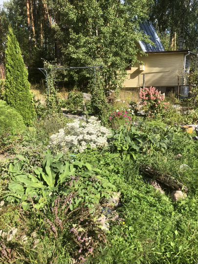 Дача 72 м² на участке 8 сот.