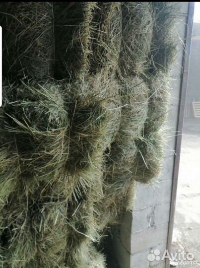 Сено продается от 600 тюк с доставкой