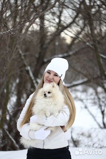 Шпиц кобель вязка