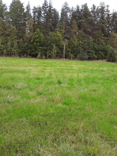 Участок 7,8 га (СНТ, ДНП)