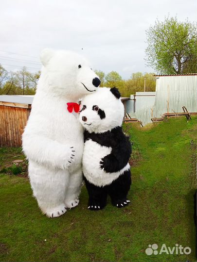 Белый мишка и Панда поздравление