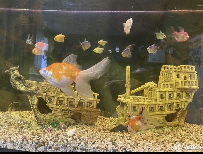 Аквариум с тумбой 360 литров