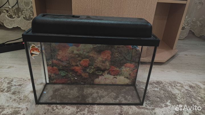 Аквариум