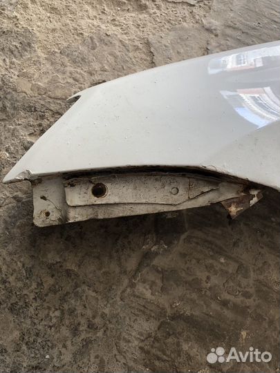 Крылья калина 2