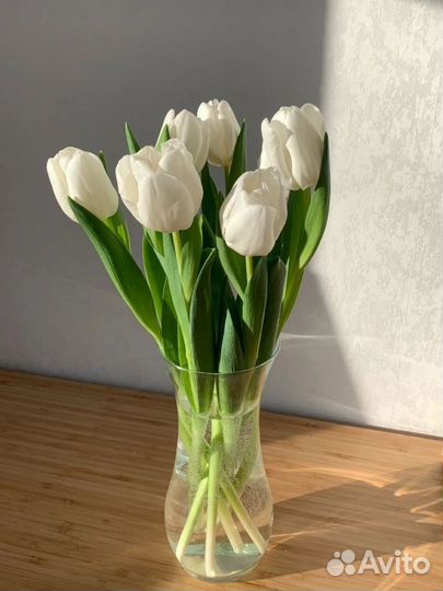 Тюльпаны к 8 марта Санкт-Петербург