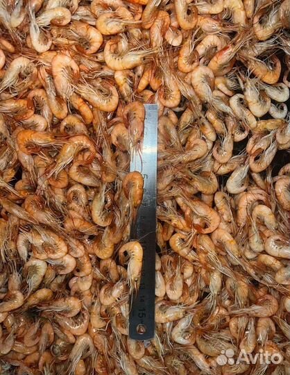 Креветка маленькая, сочная