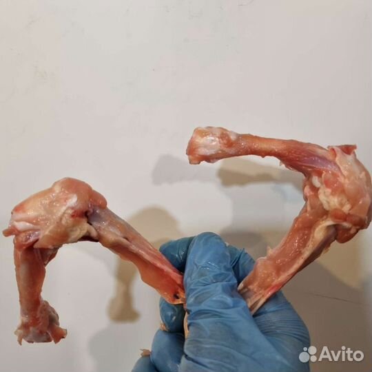 Корм для собак и кошек