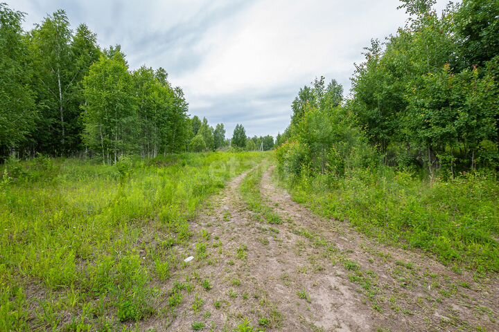 Участок 2,8 га (СНТ, ДНП)