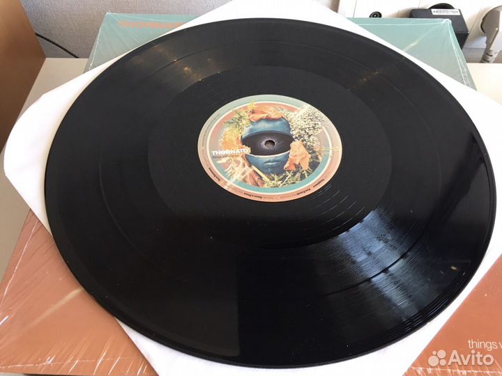 Thornato/things will change/Виниловая Пластинка