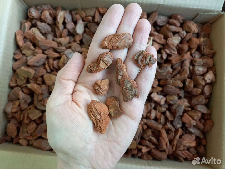 Кора галтованная средняя фракция (1-3,5см)