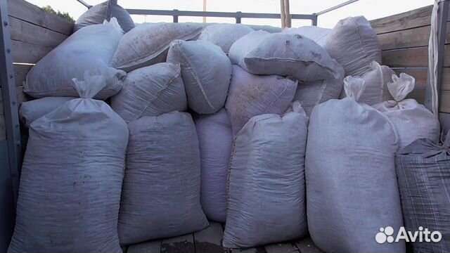 Ракушка речная