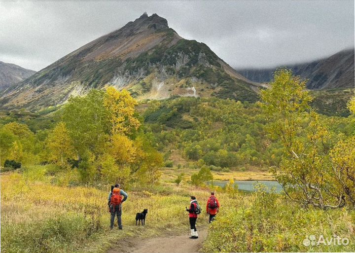 Турпутевка на Камчатку летом программы до 9 дней