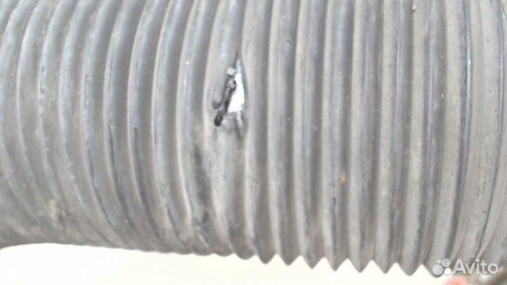 Амортизатор подвески Mercedes S W220, 2005