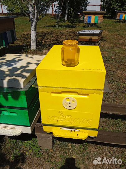 Мед с Акации