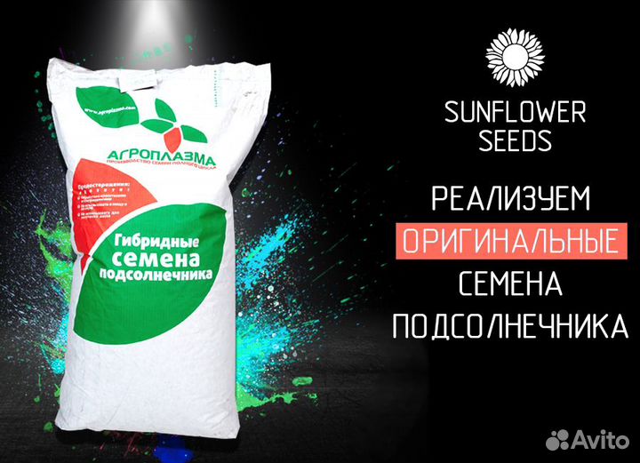 Гибриды семена подсолнечника Агроплазма
