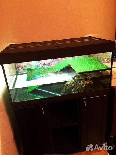 Аквариум для черепахи