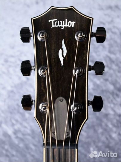 Taylor 814 CE (V-class)