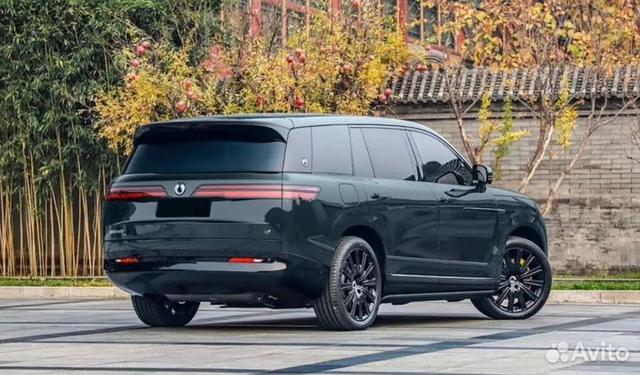 Denza N9 2.0 CVT, 2025, 2 км