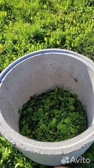 Кольцо жби кольца