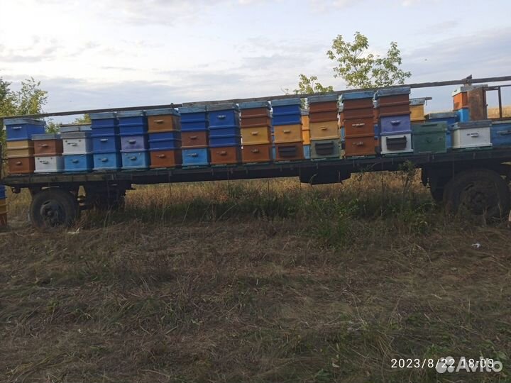 Прицеп для пчел бу