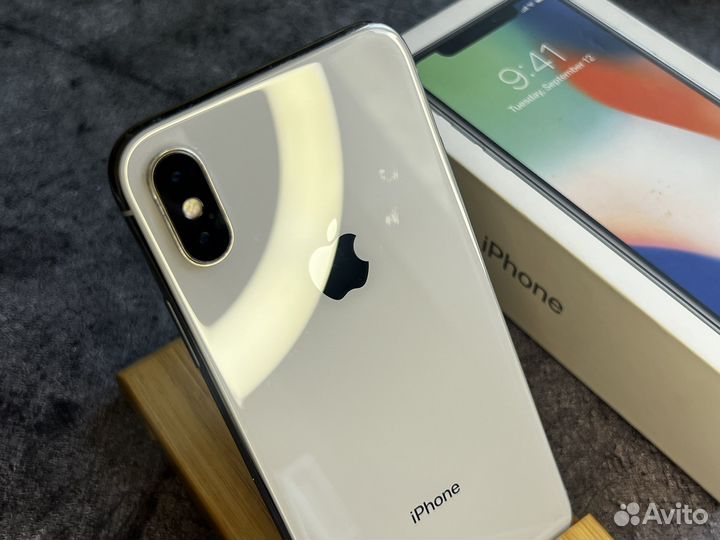 iPhone X, 256 ГБ
