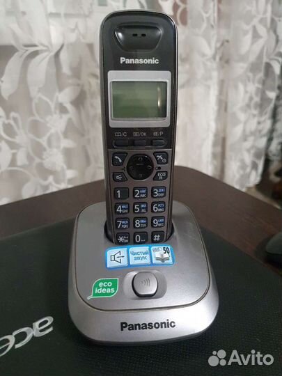 Panasonic