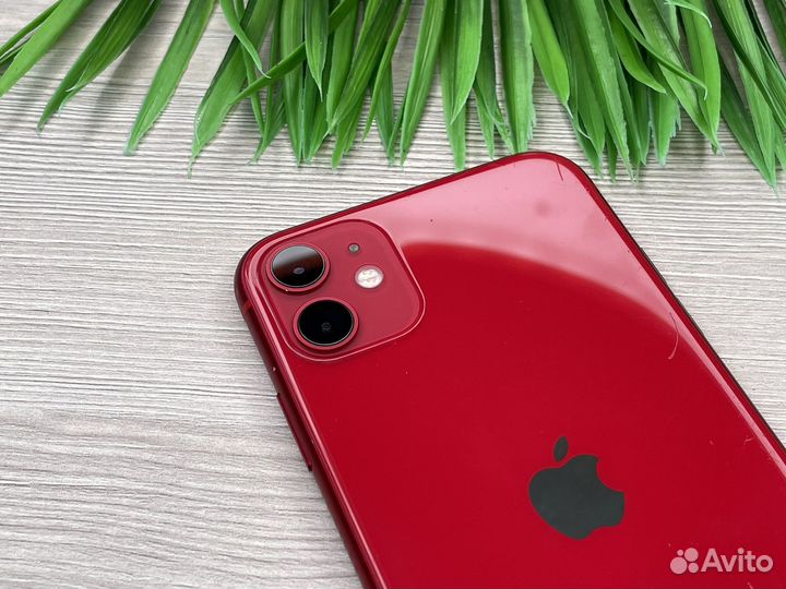 iPhone 11 64GB Red