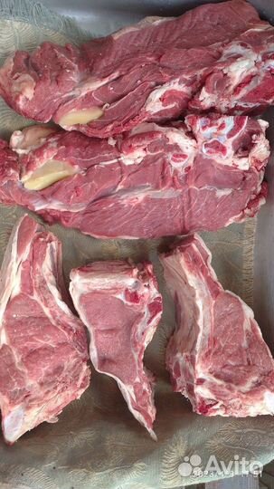 Домашнее мясо. Бычок