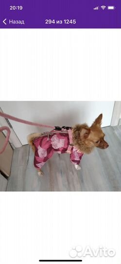 Шлейка для кошек, собак, кроликов