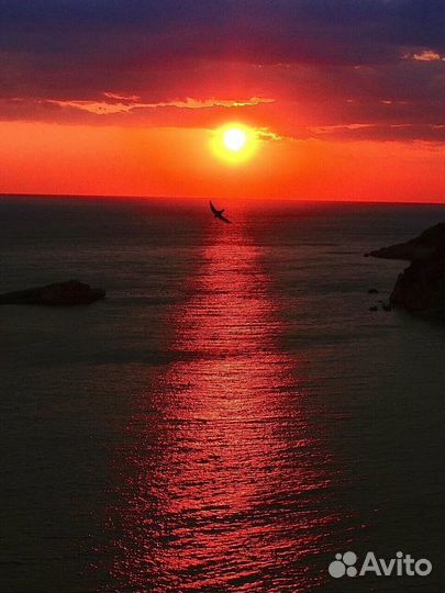 Поездки, сопровождение