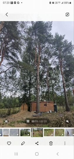 Участок 17,5 сот. (ИЖС)